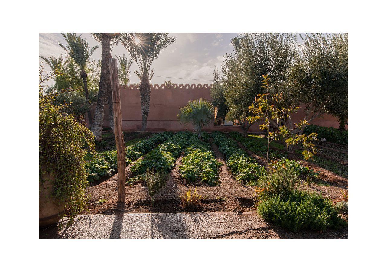 Villa 55 Marrakech Marrakesh Exterior photo